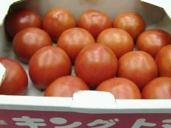 ���I�t���[�c�g�}�g�̉��l�@�����x�@�u�L���O�g�}�g�v